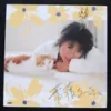 葉蒨文 Hong Kong Pop Song LP Sally Yip sally yep ~~