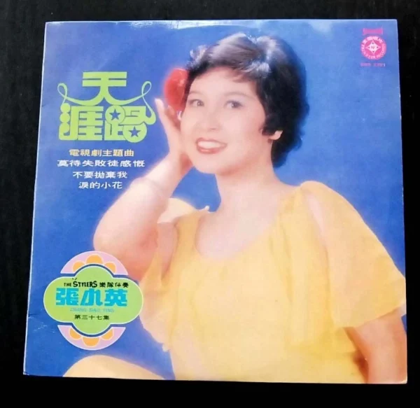 The Stylers LP VOL.37 Chang Siao Ying